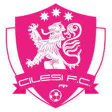 https://img.xiangshunxiangjiao.com/img/football/team/7aa0eae9d284e6aab302a00cb5107481.png