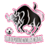 https://img.xiangshunxiangjiao.com/img/football/team/97c3ef30cac48cadff97605e387feefa.png